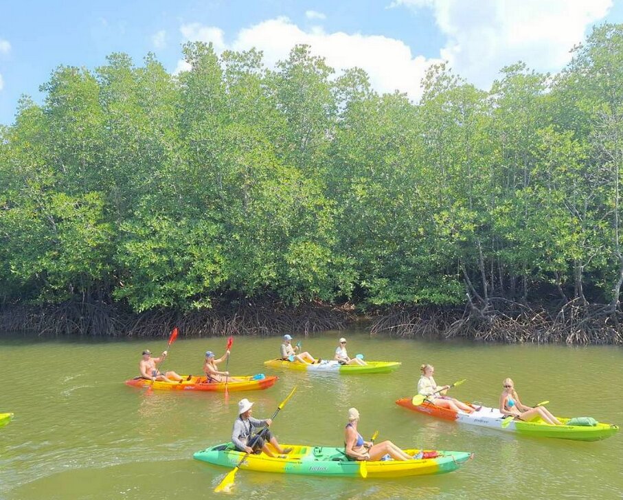 Guided kayak tour